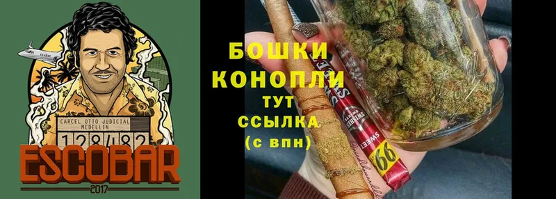 купить закладку  Октябрьск  Бошки Шишки план 